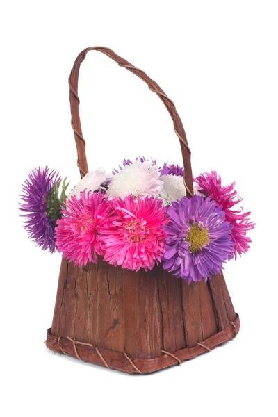 Cesta con flores multicolores aster aisladas en blanco — Foto de Stock