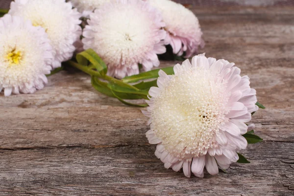 Lichte roze asters op de achtergrond van de oude houten tafel — Stockfoto