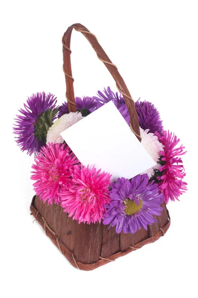 Καλάθι λουλούδια asters και ευχετήρια κάρτα που απομονώνονται σε λευκό — Φωτογραφία Αρχείου