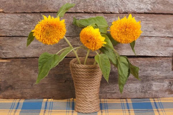 Bukett av gula blommor av prydnadsväxter solrosor i en vas — Stockfoto