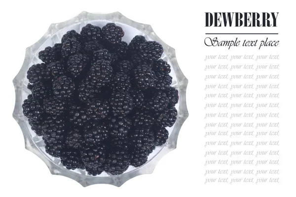 Blackberries in a glass dish isolated . top view — Stock Photo, Image