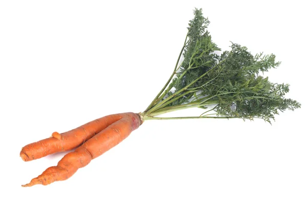 Zanahorias frescas dobles aisladas sobre fondo blanco —  Fotos de Stock