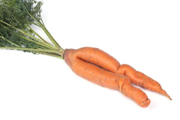 Dichas zanahorias entrelazadas aisladas sobre fondo blanco —  Fotos de Stock