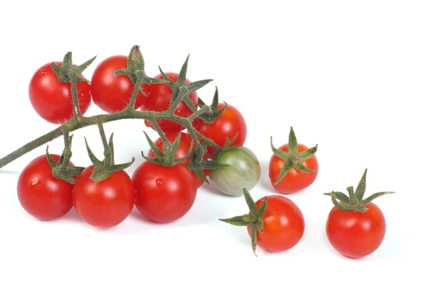 잘 익은 체리 토마토는 흰색 절연의 작은 분 지 — 스톡 사진