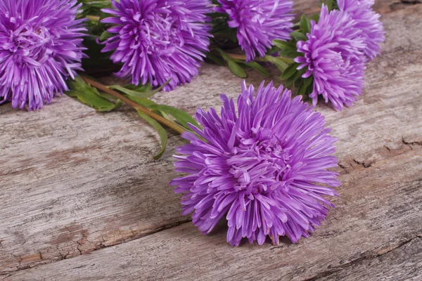 Flauschige blaue Astern auf einem alten Holztisch — Stockfoto