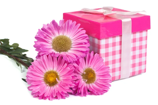 Een boeket van asters en roze geschenkdoos met strik geïsoleerd — Stockfoto