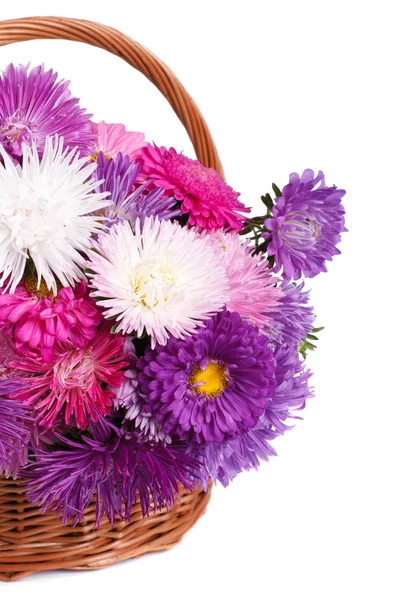 Плетений кошик з різнокольоровими квітами айстри ізольовані — стокове фото