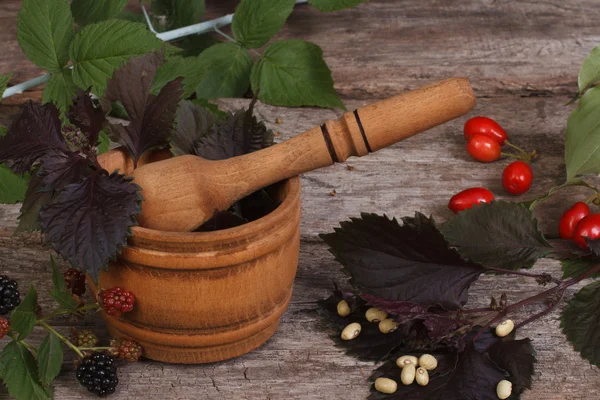 Ξύλινο Γουδί με πικάντικο βότανα και μούρα στο τραπέζι — Φωτογραφία Αρχείου