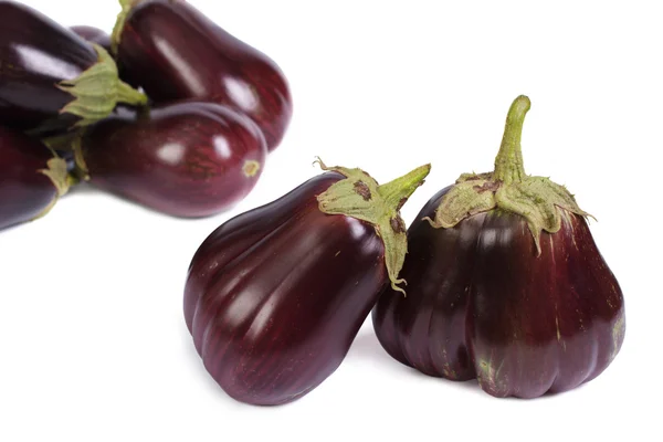 Grande aubergine ronde isolée sur fond blanc — Photo