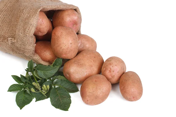 Batatas em uma bolsa e folhas verdes isoladas no fundo branco — Fotografia de Stock