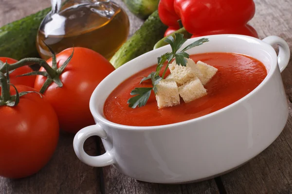 Gazpacho zupa z grzankami i natką pietruszki — Zdjęcie stockowe