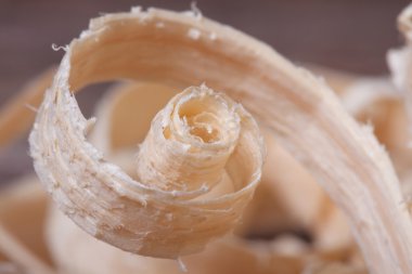 Spiral talaş yakın çekim.