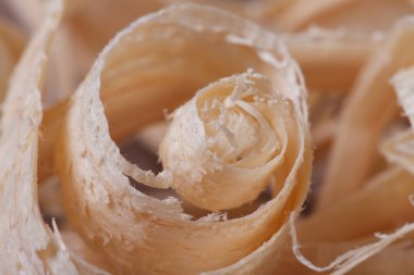 talaş yakın çekim.