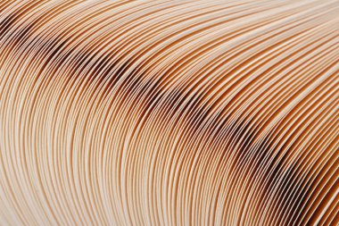 kitap sayfaları kapatmak. arka plan. doku