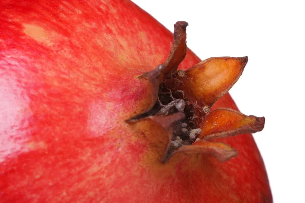 Ripe pomegranate isolated on a white background close-up — Stock Photo, Image