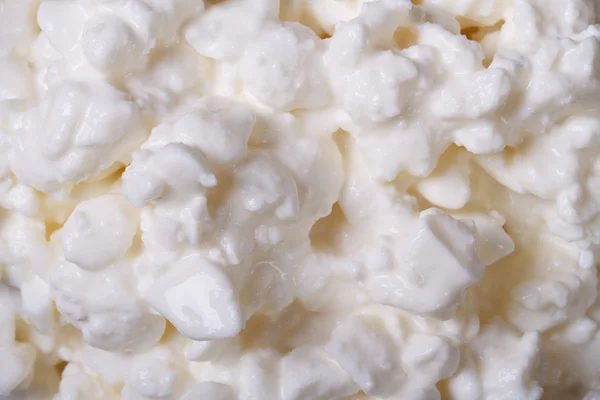 White cottage cheese texture closeup. — Stock Photo, Image