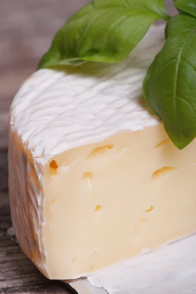 Macro brie cheese with green basil — Stock Photo, Image