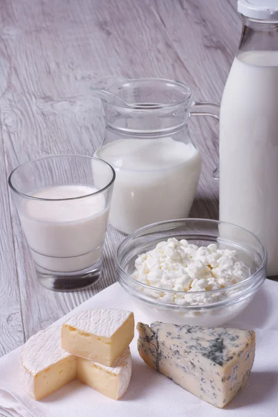 Conjunto de productos brie, queso azul, requesón y leche — Foto de Stock