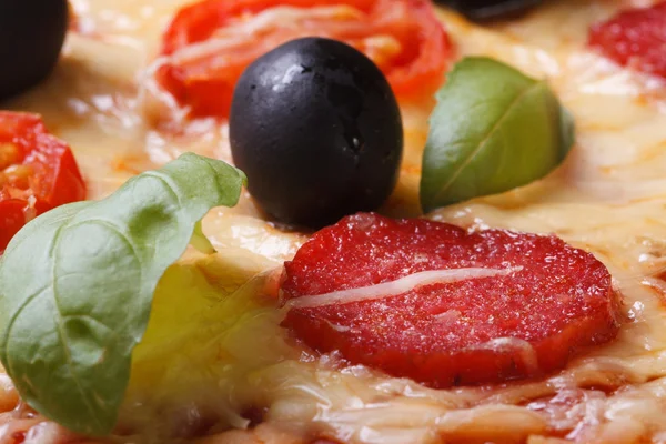 Pizza with salami, tomato, cheese, olives and basil. macro — Stock Photo, Image