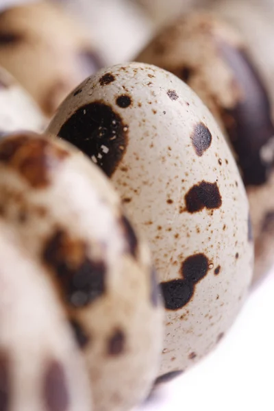 Bıldırcın yumurtası izole bir çizgi halinde düzenlenmiş — Stok fotoğraf