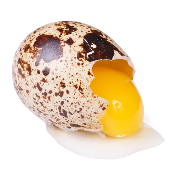 Un uovo di quaglia crudo spezzato isolato su bianco — Foto Stock