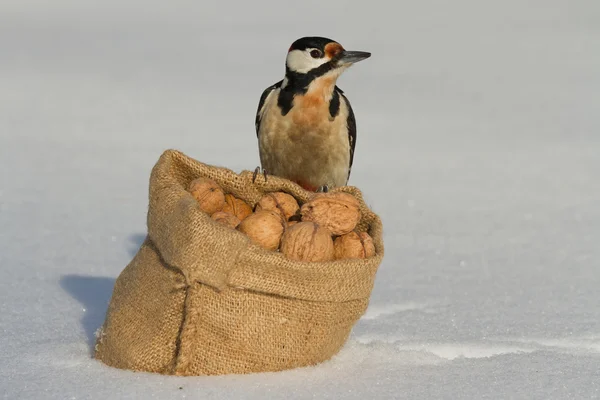 Pájaro carpintero sentado en una bolsa de nueces sobre nieve blanca — Foto de Stock