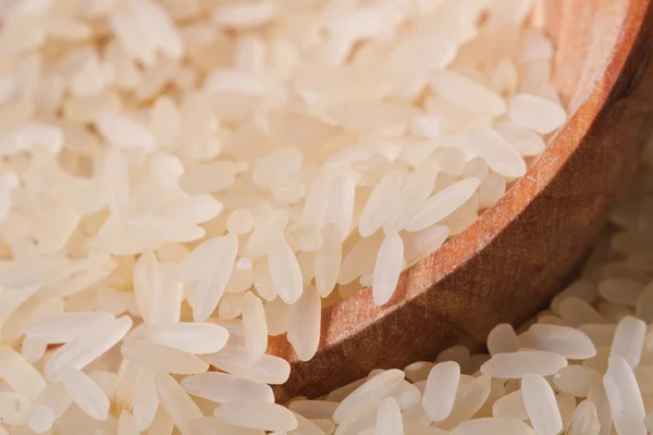 Сухой рис на деревянной ложке — стоковое фото
