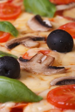 Vejetaryen pizza makro doku, dikey.