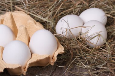 çok taze beyaz tavuk yumurta bir tepsi ve saman