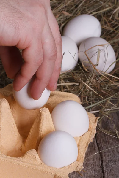 Hand man puts all his eggs in a tray — Stock Photo, Image