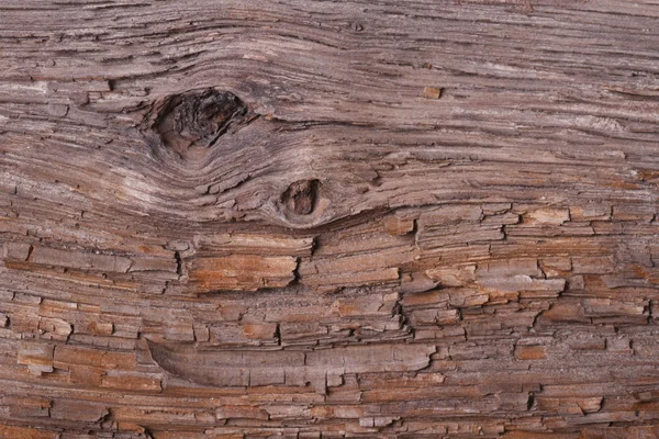 Textur Kiefernrinde eines Baumes. Hintergrund. — Stockfoto