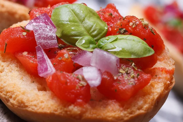 Bruschetta italiana com tomate, cebola e manjericão macro — Fotografia de Stock