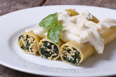 Ispanak ve peynirli Beşamel ile doldurulmuş makarna makarna
