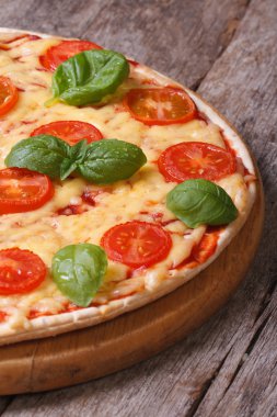Napolice pizza margarita portre. dikey