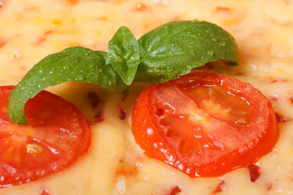 Tomato and basil macro on a margarita pizza — Stock Photo, Image