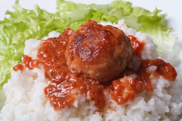Gehaktballen met rijst en tomaten saus horizontale — Stockfoto
