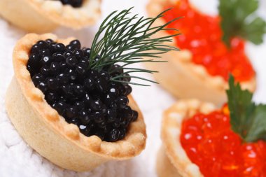 tartlets siyah mersin balığı havyar ve kırmızı somon havyar ile 