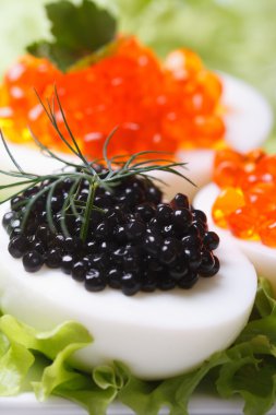 Siyah balık havyar ve marul makro ile yumurta