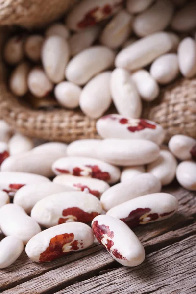 Barbunya fasulyesi ile kırmızı lekeler makro dikey beyaz — Stok fotoğraf