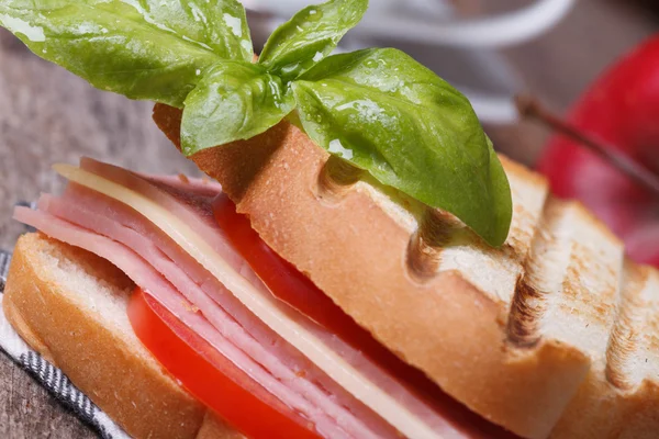 Toast with ham, cheese, tomatoes and basil — Stock Photo, Image