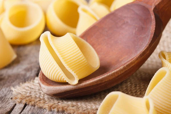 Macaroni italien non cuit lumaconi sur cuillère en bois — Photo