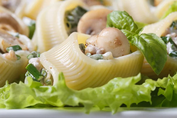 Lumakoni Italian pasta stuffed with mushrooms horizontal — Stock Photo, Image