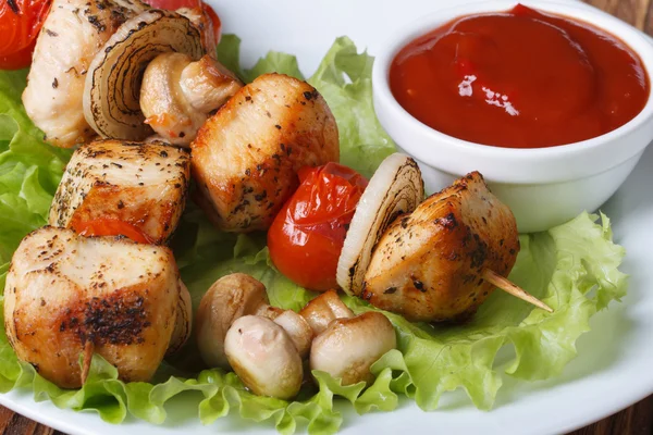 Chicken kebabs on skewers horizontal. macro — Stock Photo, Image