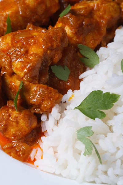A rizs és a csirke darabokat curry makró függőleges — Stock Fotó