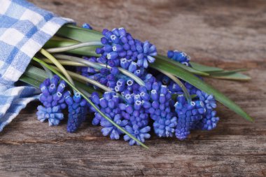 peçeteye sarılmış mavi muscari çiçekler
