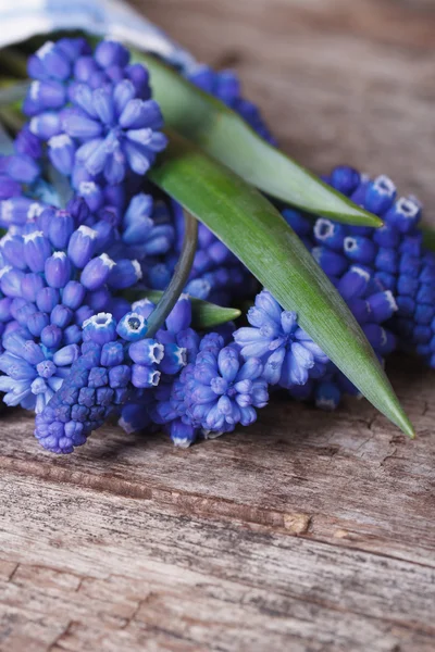 Un ramo de flores de muscari azul sobre una vieja mesa de madera macro —  Fotos de Stock