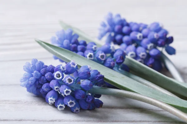 Boeket van blauwe Lentebloemen op een houten tafel — Stockfoto