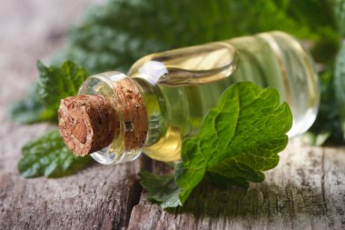 aromatik yağlar Melisa eski tablo üzerinde bir cam şişe