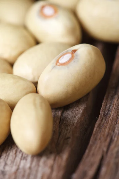 Dry yellow kidney beans closeup — Stock Photo, Image