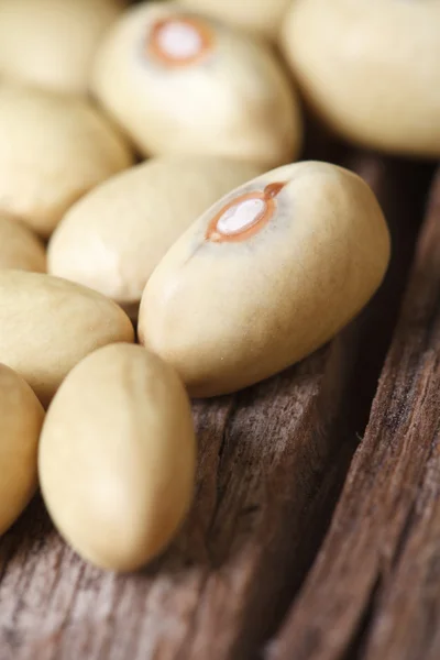 Fagioli gialli secchi primo piano — Foto Stock